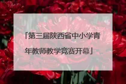 第三届陕西省中小学青年教师教学竞赛开幕