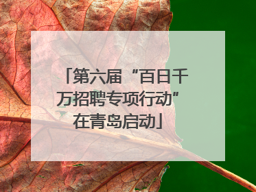 第六届“百日千万招聘专项行动”在青岛启动