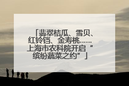 翡翠桔瓜、雪贝、红铃铛、金寿桃……上海市农科院开启“缤纷蔬菜之约”