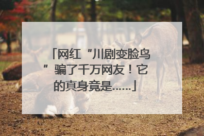 网红“川剧变脸鸟”骗了千万网友！它的真身竟是……