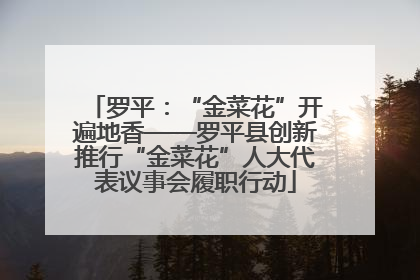 罗平：“金菜花”开遍地香——罗平县创新推行“金菜花”人大代表议事会履职行动