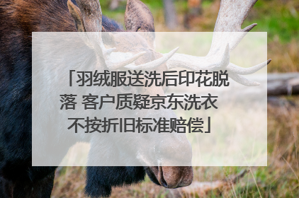 羽绒服送洗后印花脱落 客户质疑京东洗衣不按折旧标准赔偿