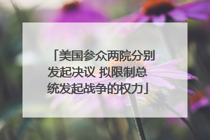 美国参众两院分别发起决议 拟限制总统发起战争的权力