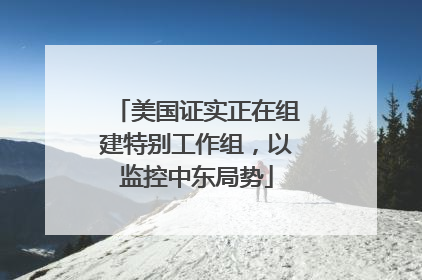 美国证实正在组建特别工作组，以监控中东局势