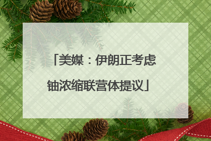 美媒：伊朗正考虑铀浓缩联营体提议