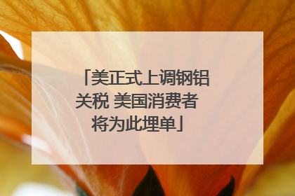 美正式上调钢铝关税 美国消费者将为此埋单