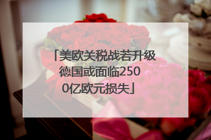 美欧关税战若升级 德国或面临2500亿欧元损失
