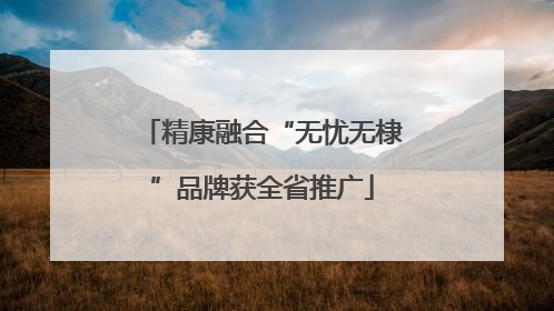 精康融合“无忧无棣”品牌获全省推广