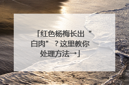 红色杨梅长出“白肉”？这里教你处理方法→
