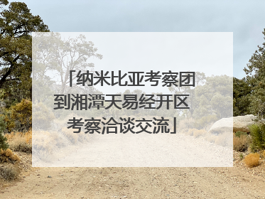 纳米比亚考察团到湘潭天易经开区考察洽谈交流