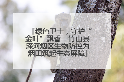 绿色卫士，守护“金叶”飘香—竹山县深河烟区生物防控为烟田筑起生态屏障