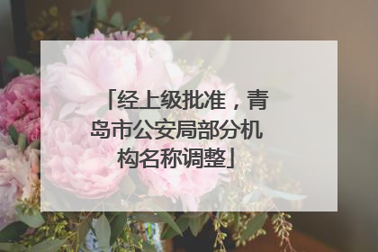 经上级批准，青岛市公安局部分机构名称调整