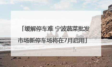 缓解停车难 宁波蔬菜批发市场新停车场将在7月启用