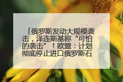 俄罗斯发动大规模袭击,泽连斯基称“可怕的袭击”!欧盟:计划彻底停止进口俄罗斯石油!油价飙涨