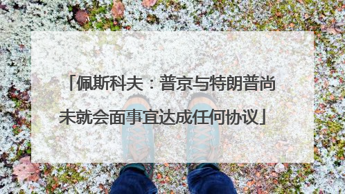 佩斯科夫：普京与特朗普尚未就会面事宜达成任何协议