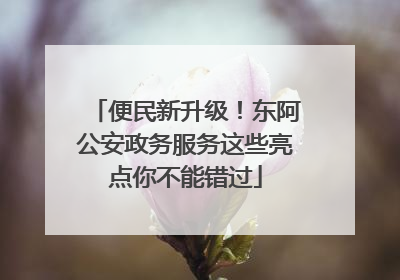便民新升级！东阿公安政务服务这些亮点你不能错过