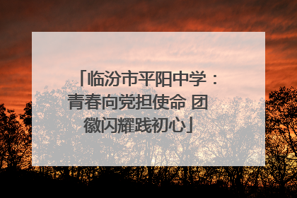 临汾市平阳中学：青春向党担使命 团徽闪耀践初心