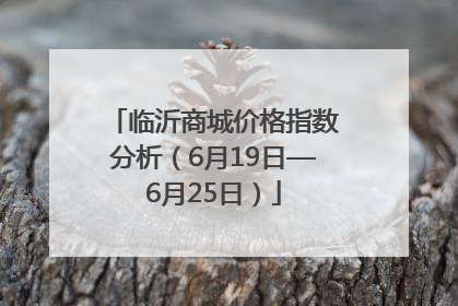 临沂商城价格指数分析（6月19日—6月25日）