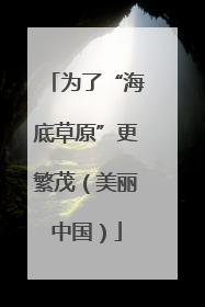 为了“海底草原”更繁茂（美丽中国）