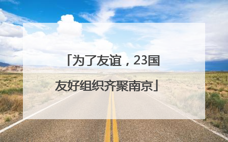 为了友谊，23国友好组织齐聚南京