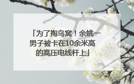 为了掏鸟窝！余姚一男子被卡在10余米高的高压电线杆上
