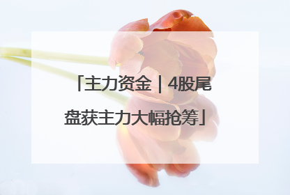 主力资金｜4股尾盘获主力大幅抢筹
