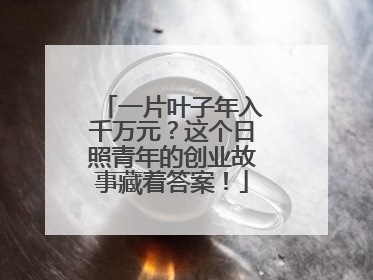 一片叶子年入千万元？这个日照青年的创业故事藏着答案！