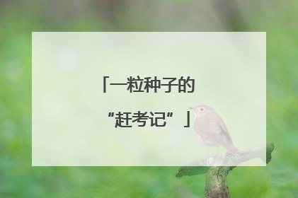 一粒种子的“赶考记”