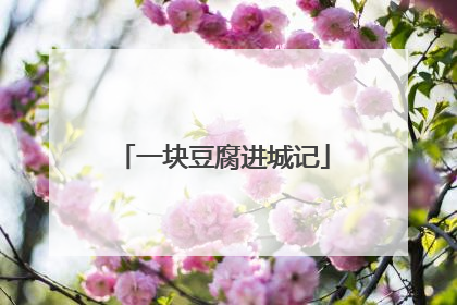 一块豆腐进城记