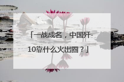 一战成名，中国歼-10靠什么火出圈？