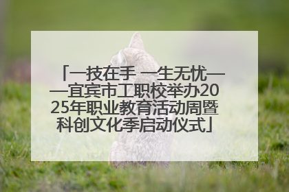 一技在手 一生无忧——宜宾市工职校举办2025年职业教育活动周暨科创文化季启动仪式