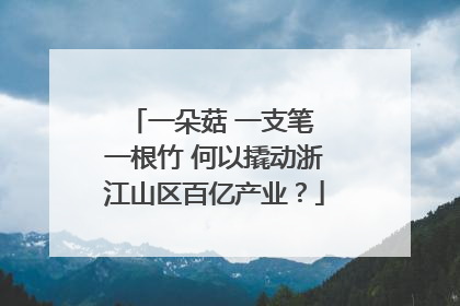 一朵菇 一支笔 一根竹 何以撬动浙江山区百亿产业？