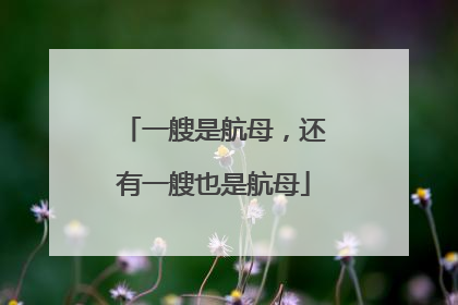 一艘是航母，还有一艘也是航母