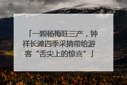 一颗杨梅旺三产，钟祥长滩四季采摘带给游客“舌尖上的惊喜”