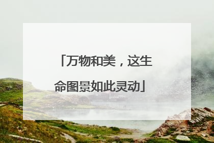 万物和美，这生命图景如此灵动