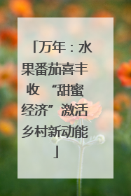万年：水果番茄喜丰收 “甜蜜经济”激活乡村新动能