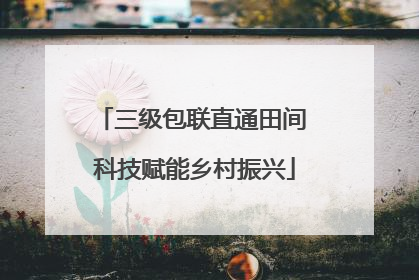 三级包联直通田间 科技赋能乡村振兴