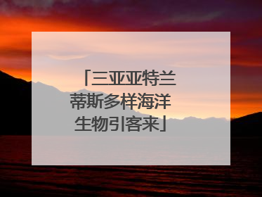 三亚亚特兰蒂斯多样海洋生物引客来