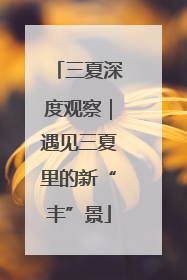 三夏深度观察｜遇见三夏里的新“丰”景