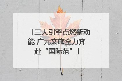 三大引擎点燃新动能 广元文旅全力奔赴“国际范”