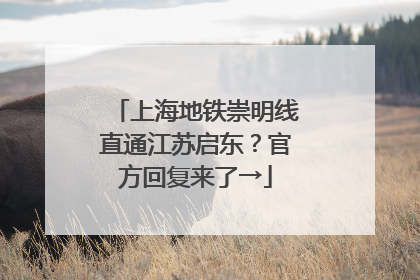 上海地铁崇明线直通江苏启东？官方回复来了→