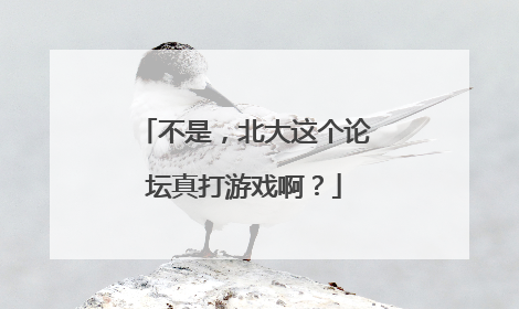 不是，北大这个论坛真打游戏啊？