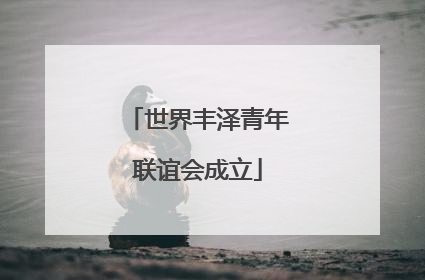 世界丰泽青年联谊会成立