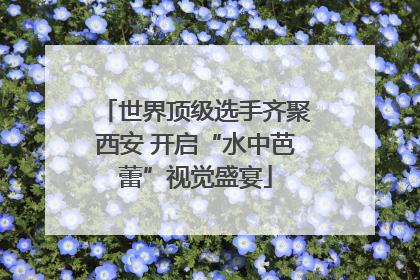 世界顶级选手齐聚西安 开启“水中芭蕾”视觉盛宴