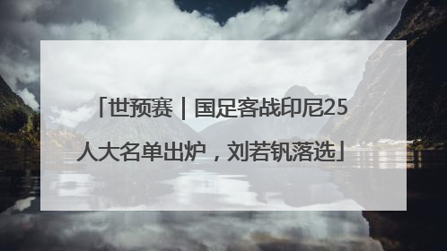 世预赛｜国足客战印尼25人大名单出炉，刘若钒落选