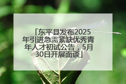 东平县发布2025年引进急需紧缺优秀青年人才初试公告，5月30日开展面谈