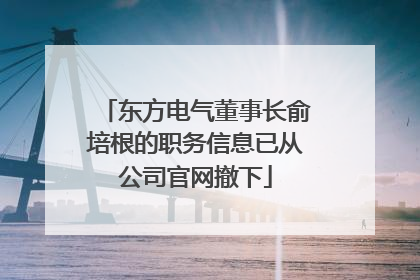 东方电气董事长俞培根的职务信息已从公司官网撤下