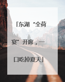 东湖“全荷宴”开席，一口吃掉夏天