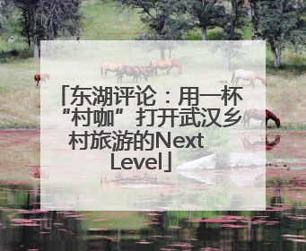 东湖评论：用一杯“村咖”打开武汉乡村旅游的Next Level