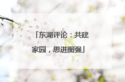 东湖评论：共建家园，思进图强